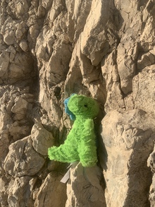 Colonal Covid avoids another mass extinction's avatar