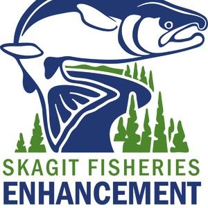 Skagit Fisheries Enhancement Group's avatar