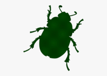 Gelae baen's avatar