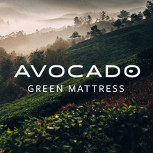 AVOCADO's avatar