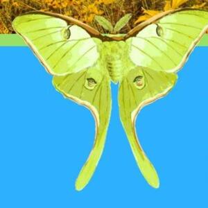 Interfaith Environmental Network of Houston's avatar