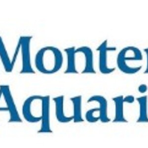 Monterey Bay Aquarium Plastic-Free Champions's avatar