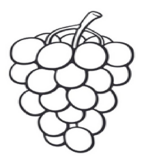 Bloomington's Grape Expectations's avatar