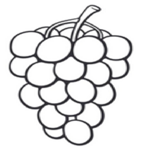 Bloomington's Grape Expectations's avatar