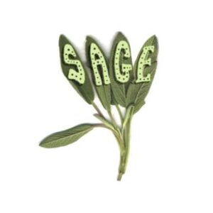DEP SAGE's avatar