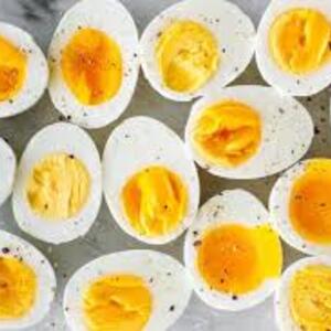 shell shockers's avatar