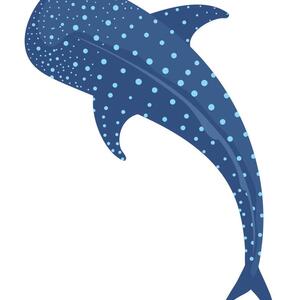 the whale sharks's avatar