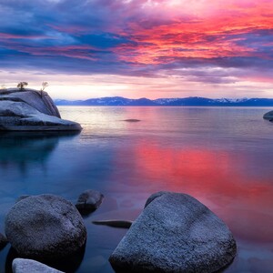 Monarchs ENV 101 Wellik's avatar