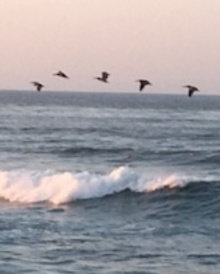 Wave Makers's avatar