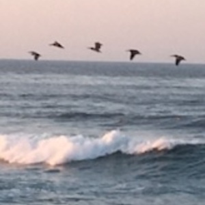 Wave Makers's avatar