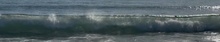 The Wave Makers's avatar