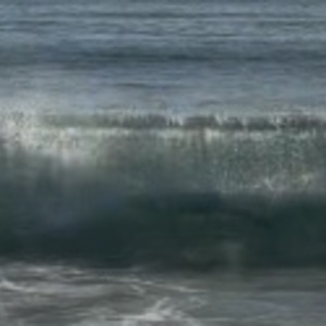 The Wave Makers's avatar