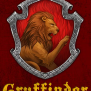 Mayo Clinic IT Dept. Gryffindors's avatar