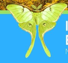 Interfaith Environmental Network of Houston's avatar