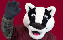 The Mighty Badgers's avatar
