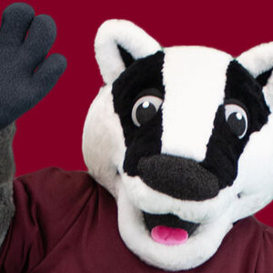 The Mighty Badgers's avatar