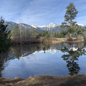 capstone spring 2026's avatar