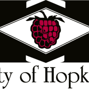 City of Hopkins's avatar