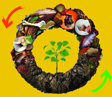 Why Not Compost 's avatar