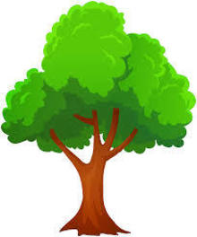 ACPUSH EcoChallenge!- York High School's avatar