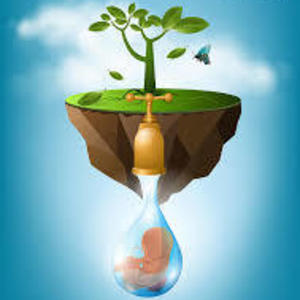 Srinath Cm's avatar
