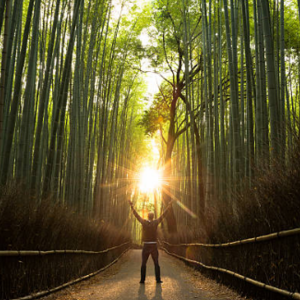 Rupesh Rastogi's avatar