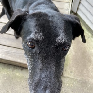 Catherine Mason's avatar