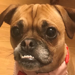 Haley Swiger's avatar