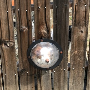 Jill Sheets's avatar