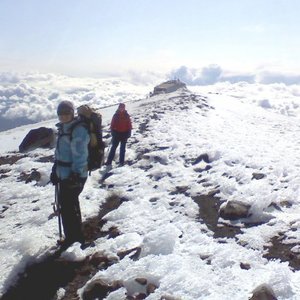 Marriah  Thornock's avatar