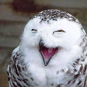 Courtney Duquette's avatar