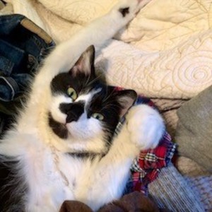 Melanie Gallagher's avatar