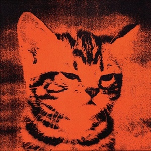 Valeria Krumdieck's avatar