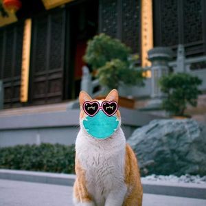 Sally Cheung's avatar
