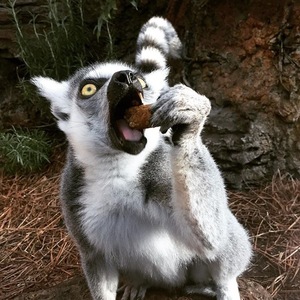 Ashley Riese's avatar