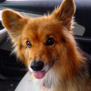 Jackie Giles's avatar