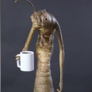 Noam Tuscan's avatar