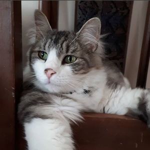 Raquel Zuniga's avatar