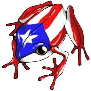 Wilfredo Vega's avatar