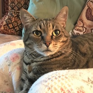 Mitzi Sugar's avatar