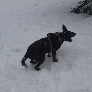 Katie Kniesteadt's avatar