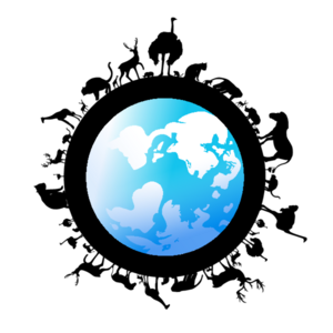 Yuko Kobayashi's avatar