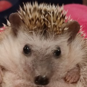 Melissa Kettler's avatar