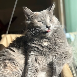 Lily Severance's avatar