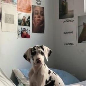 Gretchen Krumpe's avatar