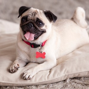 Lily King's avatar