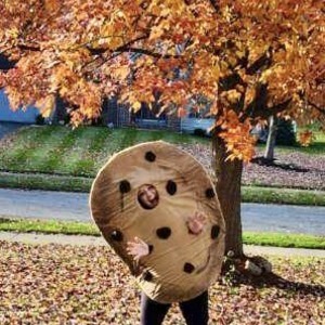 Colleen Celmer's avatar