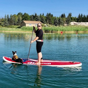 Tracy Smale's avatar