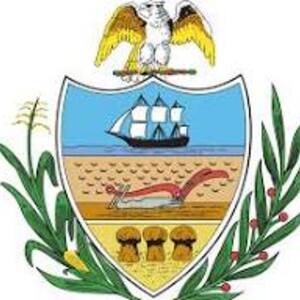 Daniel Elsass's avatar