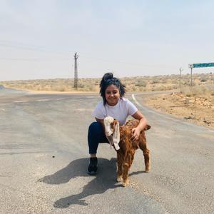 Mehak Sharma's avatar